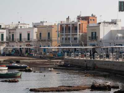 Il mercato ittico di Santo Spirito